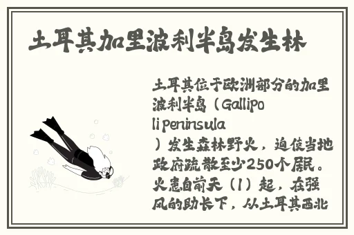 无翼工番口番